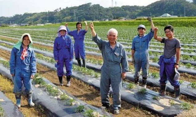 日本勞務(wù)派遣農(nóng)業(yè)類、食品加工、建筑業(yè)、電子業(yè)招聘