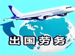 跨國(guó)企業(yè)人力資源管理的多維策略